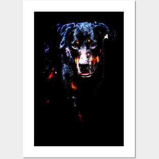 rottweiler Posters and Art